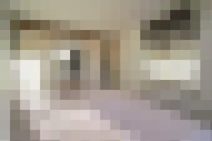 Wieken 62 Avenhorn thumbnail 22