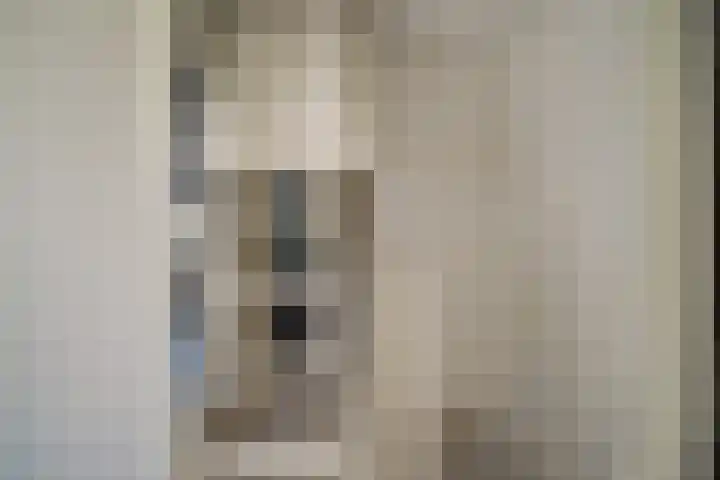 Wieken 62 Avenhorn thumbnail 33
