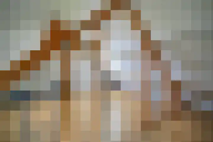 Wieken 62 Avenhorn thumbnail 35