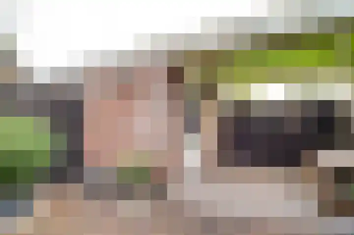 Wieken 62 Avenhorn thumbnail 38