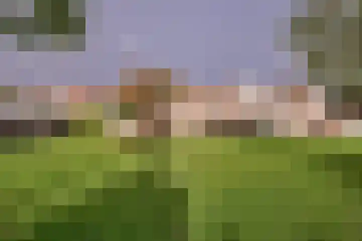 Wieken 62 Avenhorn thumbnail 4