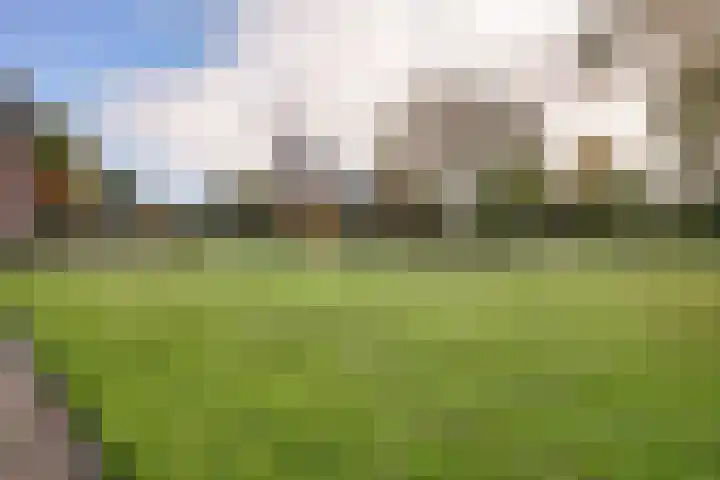 Wieken 62 Avenhorn thumbnail 45