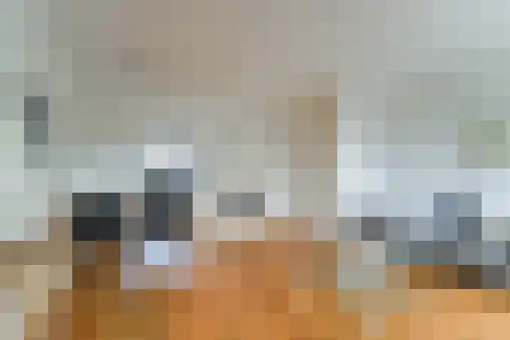 Wieken 62 Avenhorn thumbnail 5