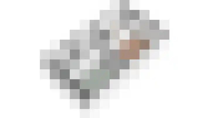 Wieken 62 Avenhorn thumbnail 51