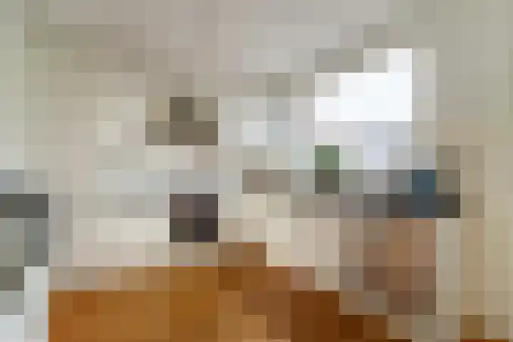 Wieken 62 Avenhorn thumbnail 6
