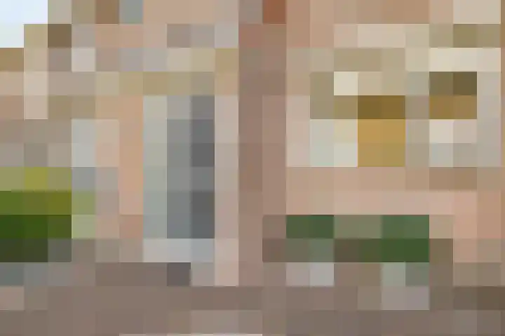 Wieken 62 Avenhorn thumbnail 7