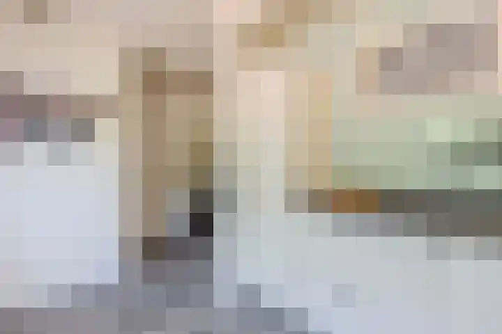 Wieken 65 Avenhorn thumbnail 12