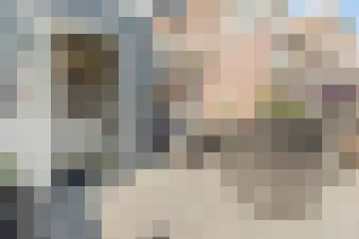 Wieken 65 Avenhorn thumbnail 40