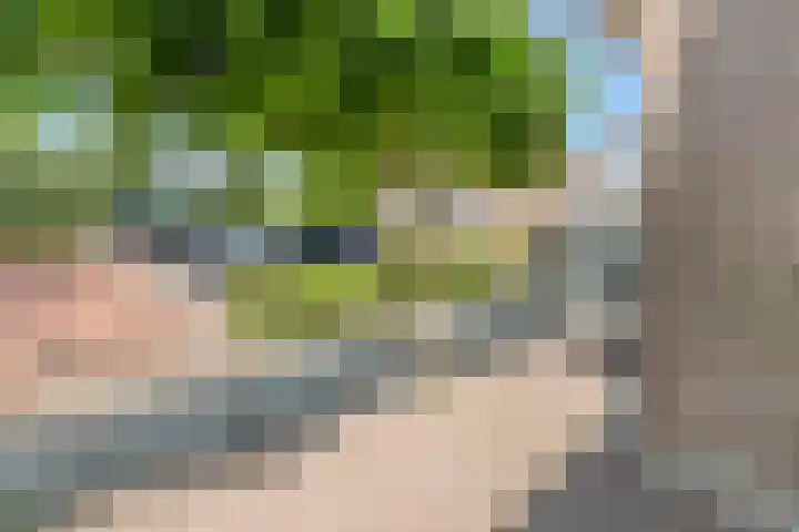 Wieken 65 Avenhorn thumbnail 6