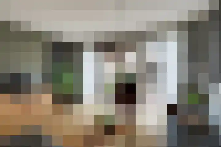 Wieken 7 Avenhorn thumbnail 11