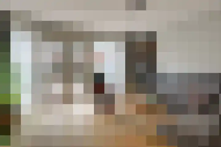 Wieken 7 Avenhorn thumbnail 12
