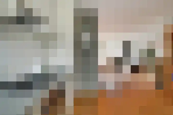 Wieken 7 Avenhorn thumbnail 17