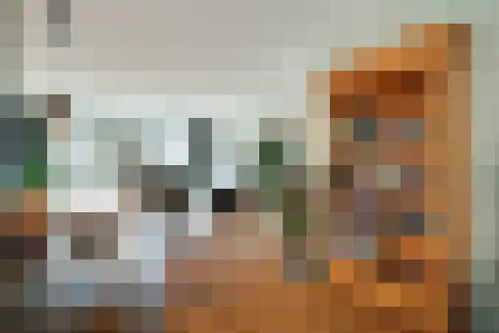 Wieken 7 Avenhorn thumbnail 18