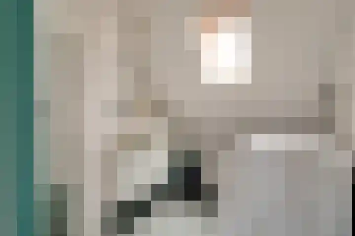 Wieken 7 Avenhorn thumbnail 21