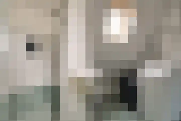 Wieken 7 Avenhorn thumbnail 22