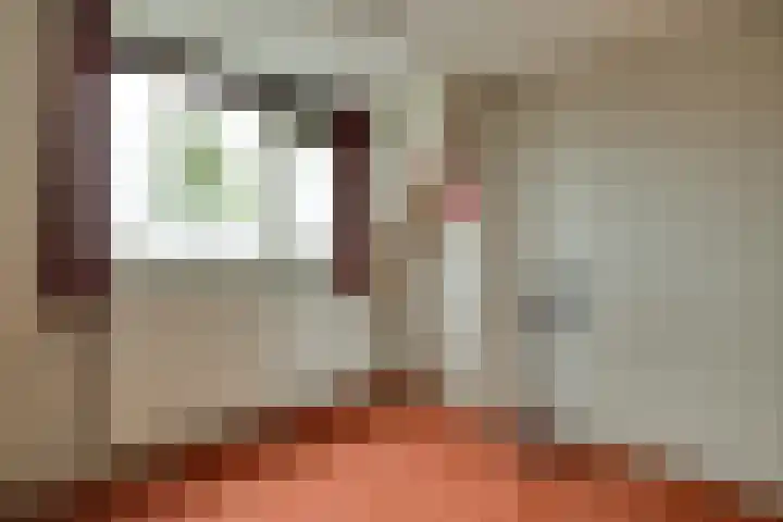 Wieken 7 Avenhorn thumbnail 23