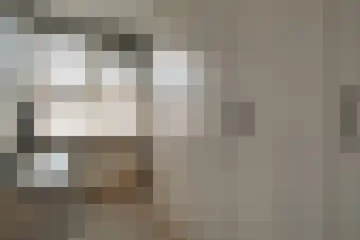 Wieken 7 Avenhorn thumbnail 25