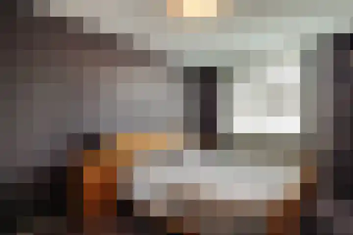 Wieken 7 Avenhorn thumbnail 27
