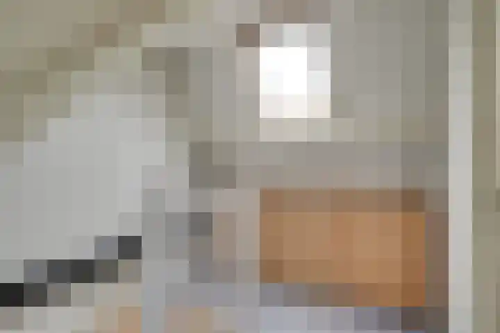 Wieken 7 Avenhorn thumbnail 30