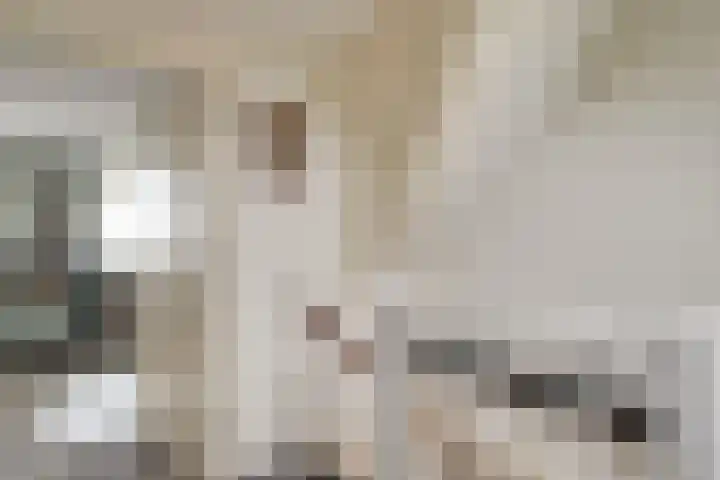 Wieken 7 Avenhorn thumbnail 31