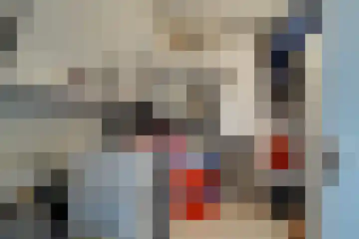 Wieken 7 Avenhorn thumbnail 32