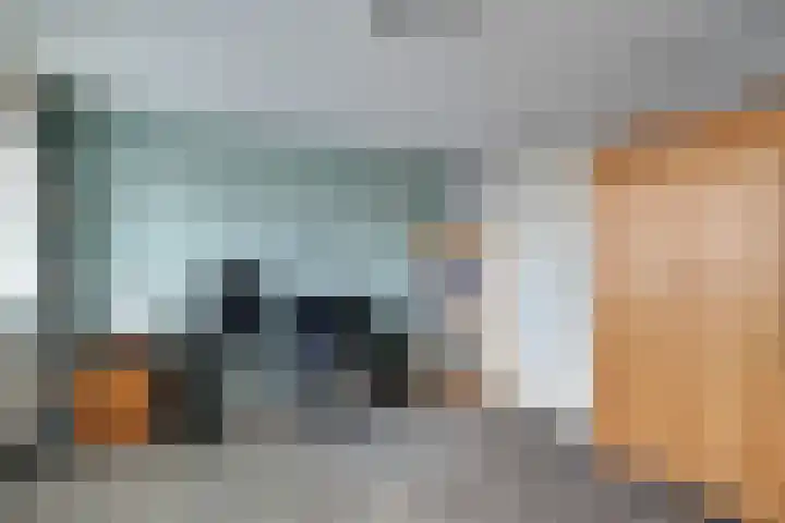 Wieken 7 Avenhorn thumbnail 34