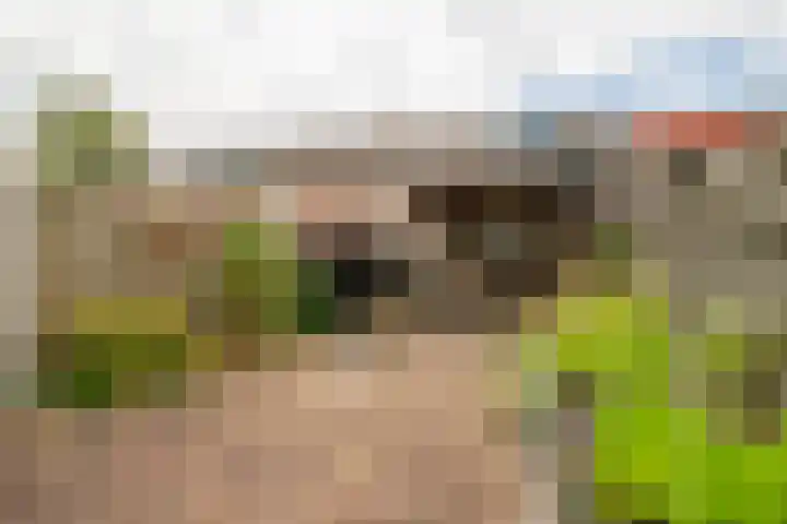 Wieken 7 Avenhorn thumbnail 35