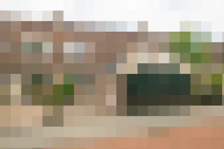 Wieken 7 Avenhorn thumbnail 37
