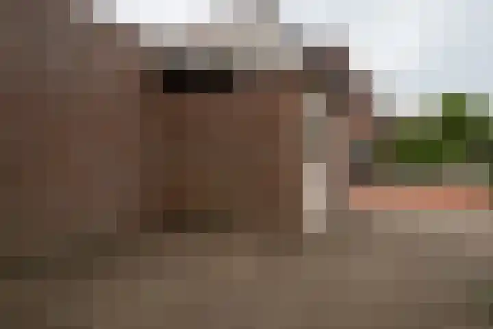Wieken 7 Avenhorn thumbnail 38