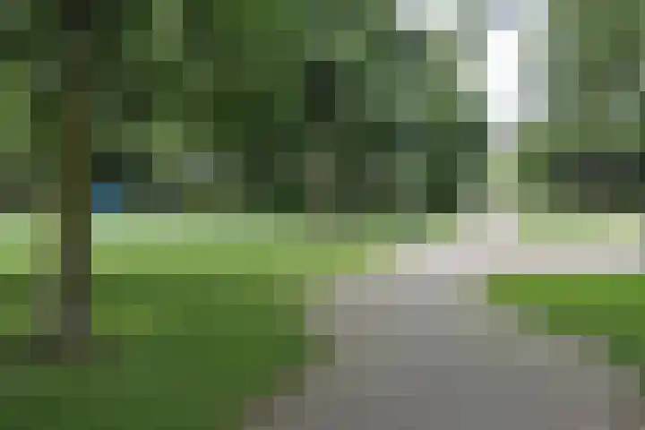 Wieken 7 Avenhorn thumbnail 39
