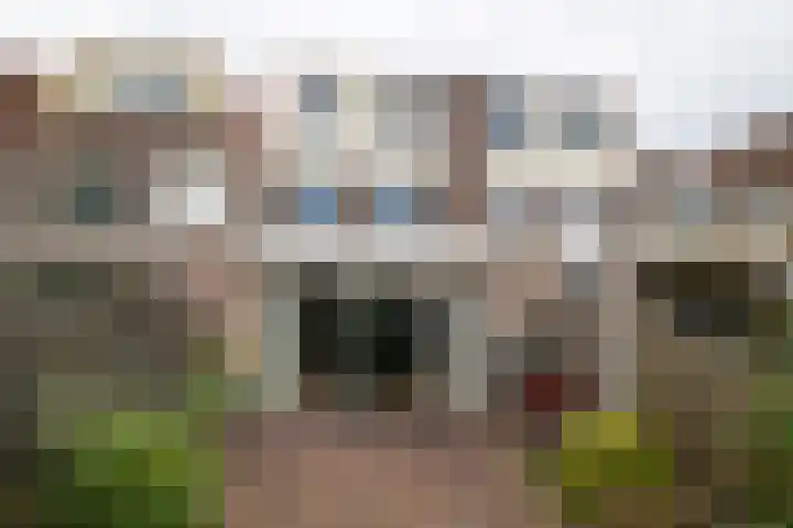 Wieken 7 Avenhorn thumbnail 4