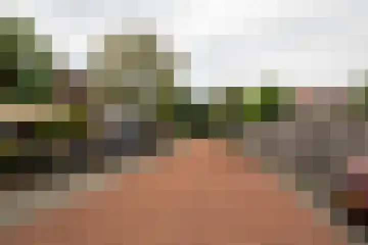 Wieken 7 Avenhorn thumbnail 40