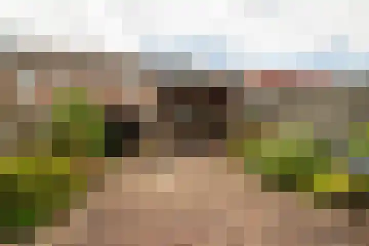 Wieken 7 Avenhorn thumbnail 5