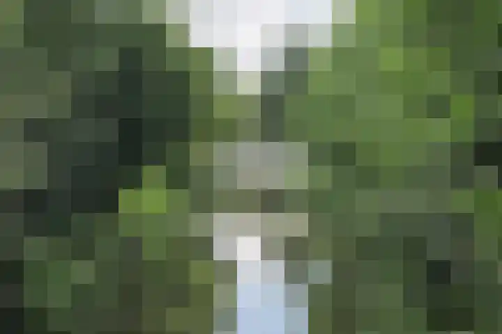 Wieken 7 Avenhorn thumbnail 6