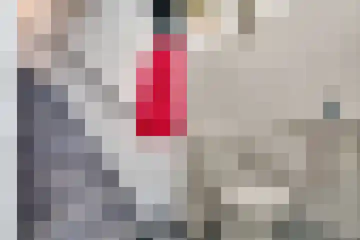Wieken 7 Avenhorn thumbnail 9