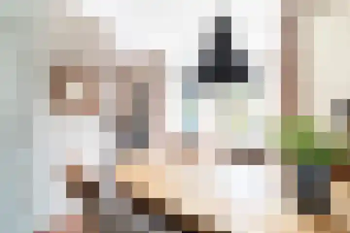 Wiekenas 15 Smilde thumbnail 14