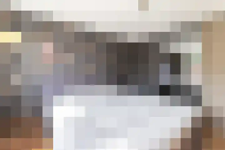 Wiekenas 15 Smilde thumbnail 22
