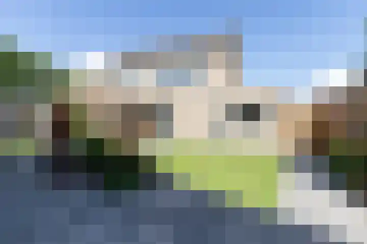Wiekenas 15 Smilde thumbnail 29