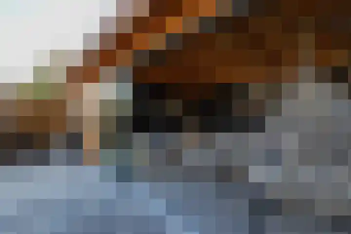 Wiekenas 15 Smilde thumbnail 31
