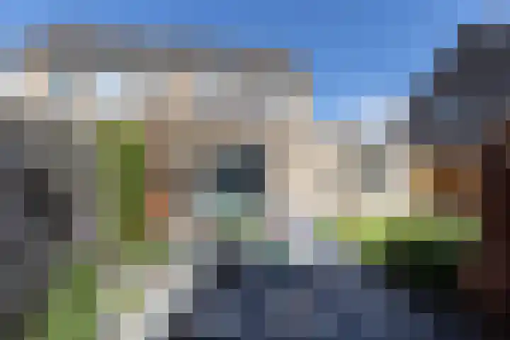 Wiekenas 15 Smilde thumbnail 33
