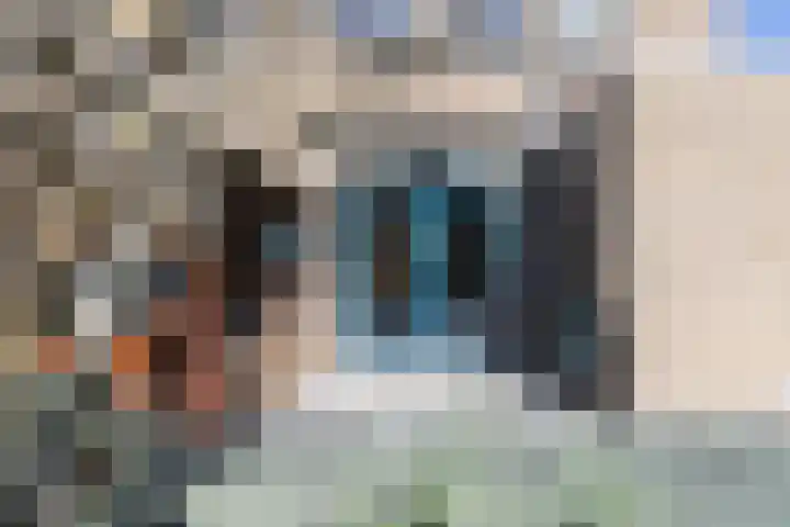 Wiekenas 15 Smilde thumbnail 34