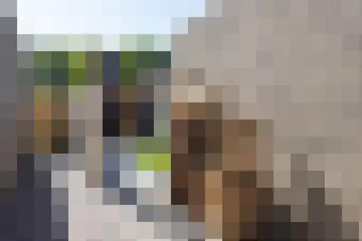 Wiekenas 15 Smilde thumbnail 35