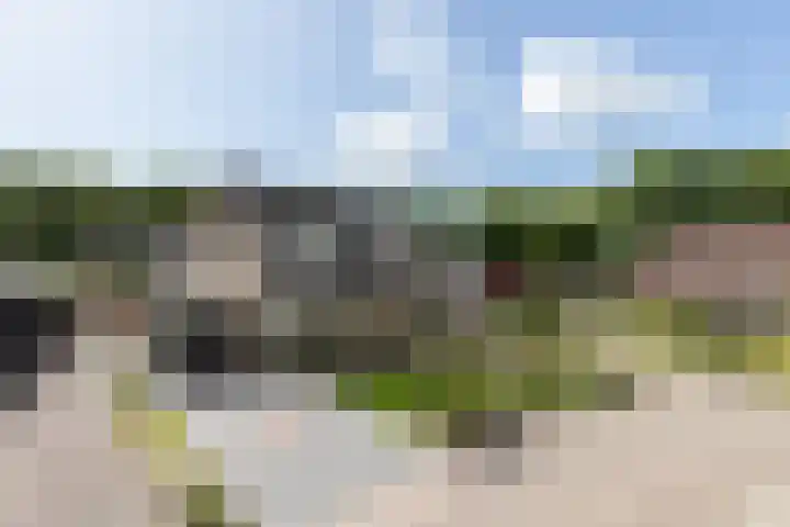 Wiekenas 15 Smilde thumbnail 39