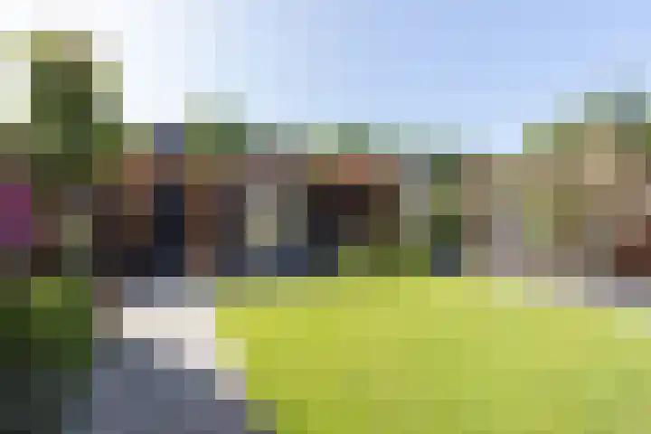 Wiekenas 15 Smilde thumbnail 40