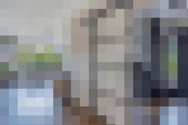 Wiekenas 19 Smilde thumbnail 11