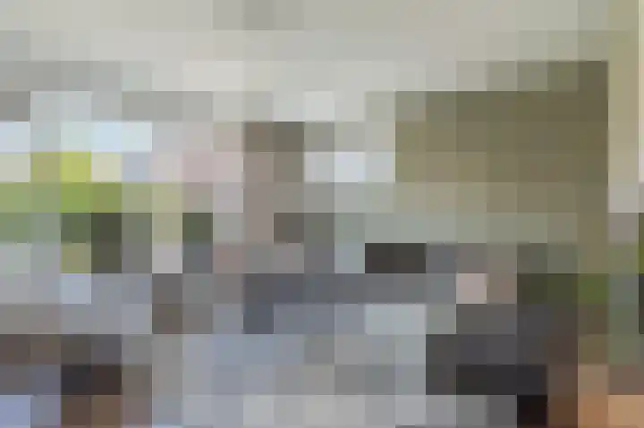 Wiekenas 19 Smilde thumbnail 12