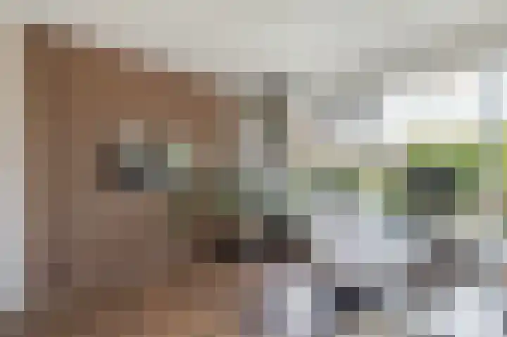 Wiekenas 19 Smilde thumbnail 13