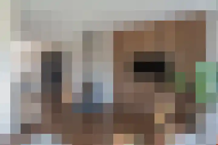 Wiekenas 19 Smilde thumbnail 14