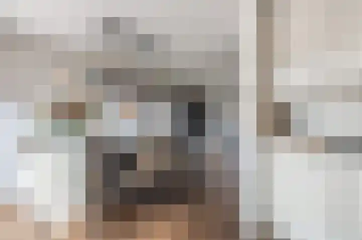 Wiekenas 19 Smilde thumbnail 22
