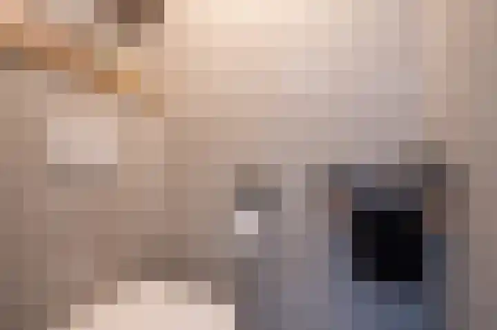 Wiekenas 19 Smilde thumbnail 28